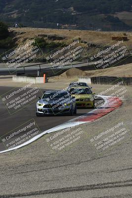 media/Aug-23-2024-Speed Ventures (Fri) [[92f1efc5e7]]/Green/Session 1 (Turn 3)/